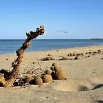 Cavarra Рейтани